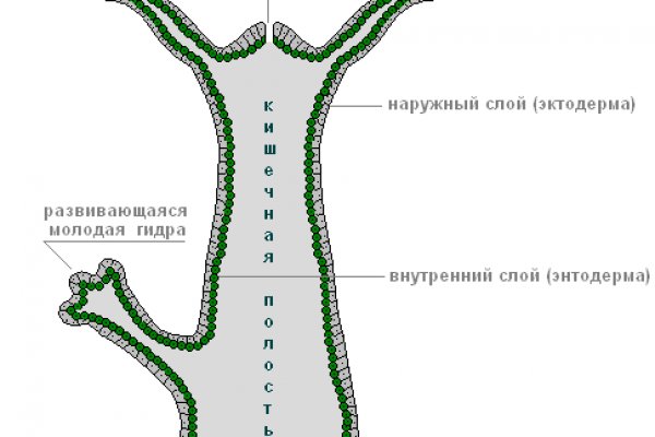 Кракен kr2web in маркетплейс