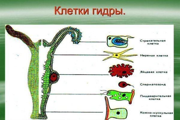 Актуальные ссылки кракен 2025