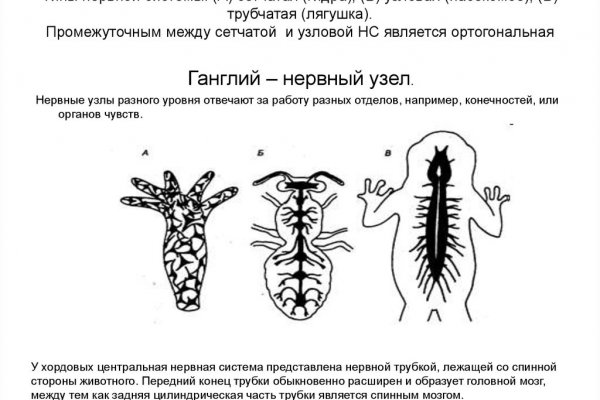 Почему не заходит на кракен